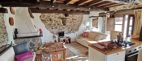 TV, fireplace, DVD player, books