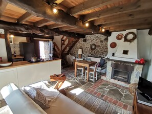 TV, fireplace, DVD player, books
