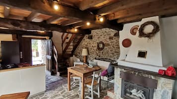 TV, fireplace, DVD player, books