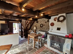TV, fireplace, DVD player, books - Casa Nela, a special corner of Asturias (Villaviciosa)