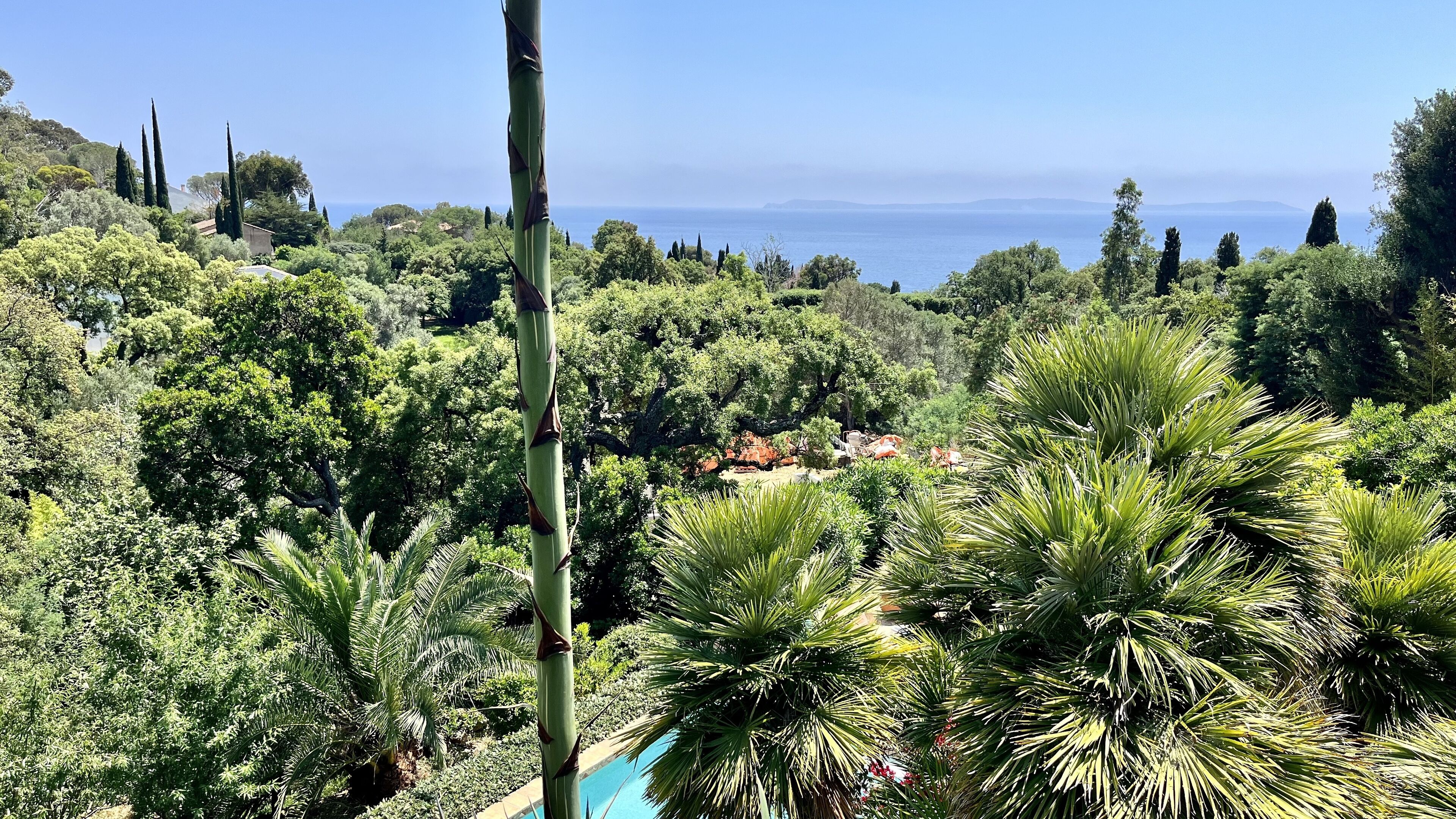 A lush garden with a variety of trees and a clear view of the sea in the background.