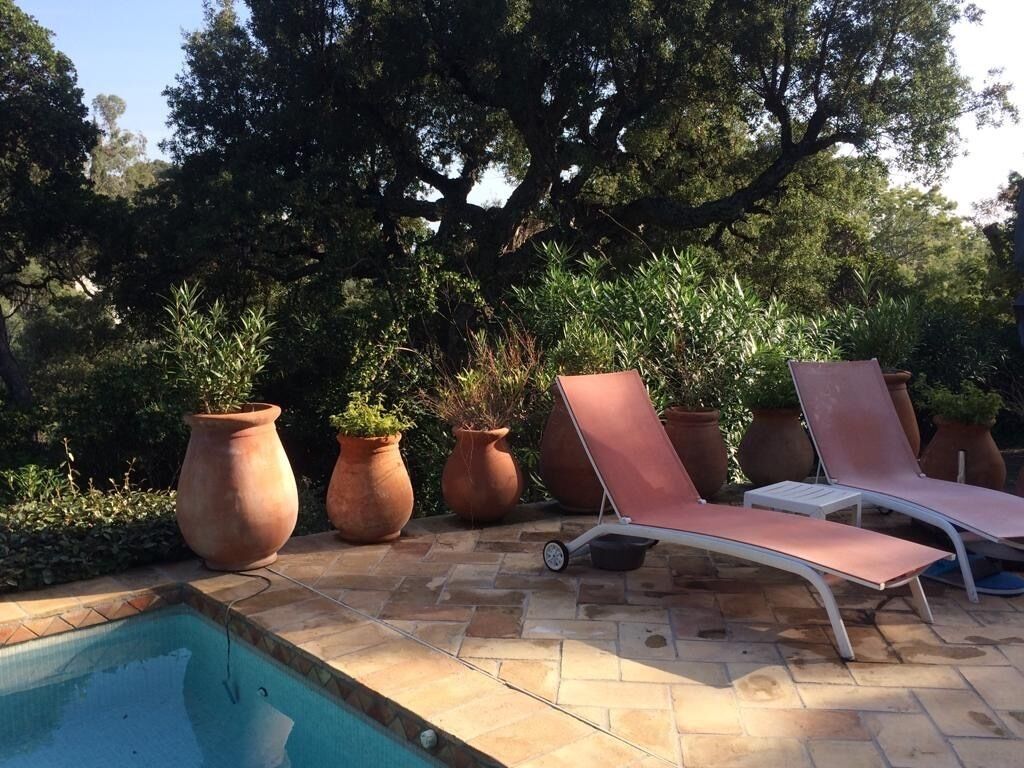 A poolside area with lounge chairs and terracotta pots.
