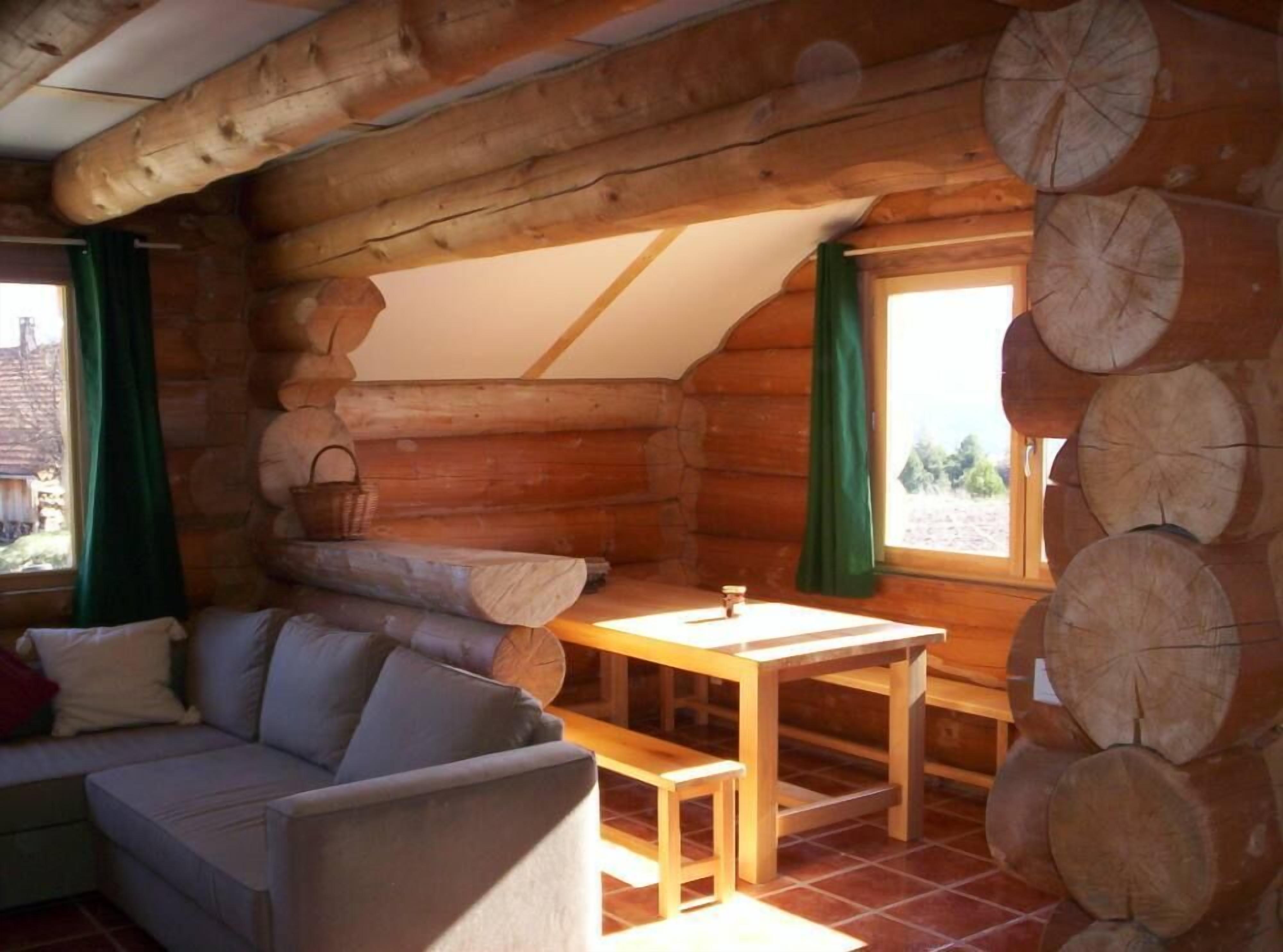 TV, ping pong, books