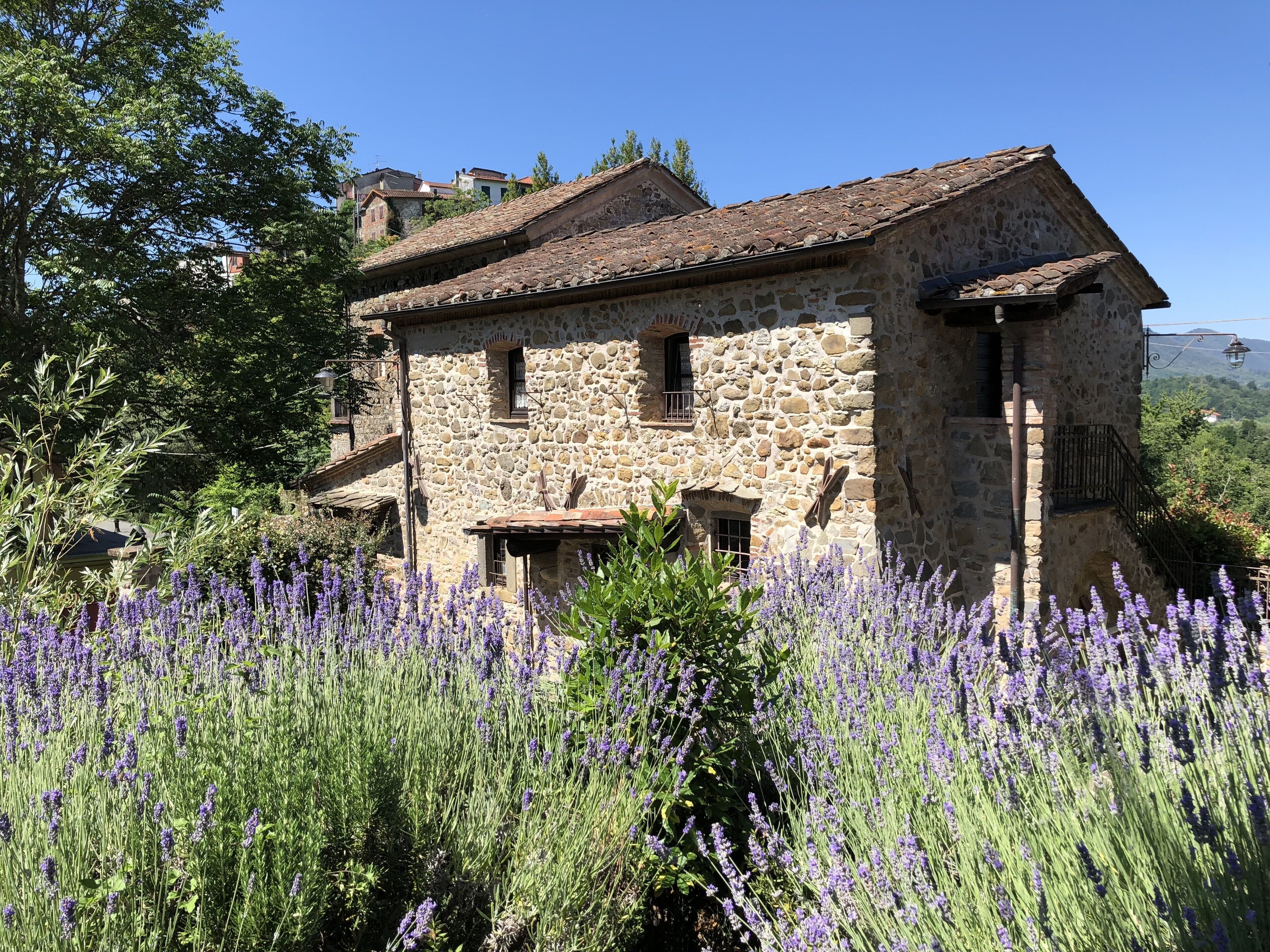 A stone building with a tiled roof, surrounded by lavender fields.