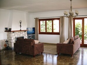 Smart TV, chimenea, reproductor de DVD y libros 