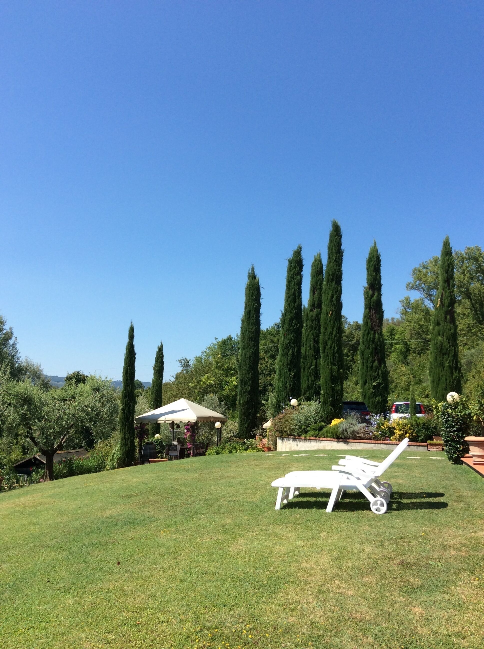 Parco della struttura