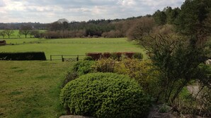 Ländliche Landschaft mit einem eingezäunten Feld, einem Heckenstreifen und Bäumen im Hintergrund.