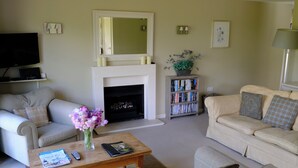Ein Wohnzimmer mit Kamin, Fernseher, Bücherregal und zwei Sofas.