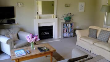 TV, fireplace, DVD player, books