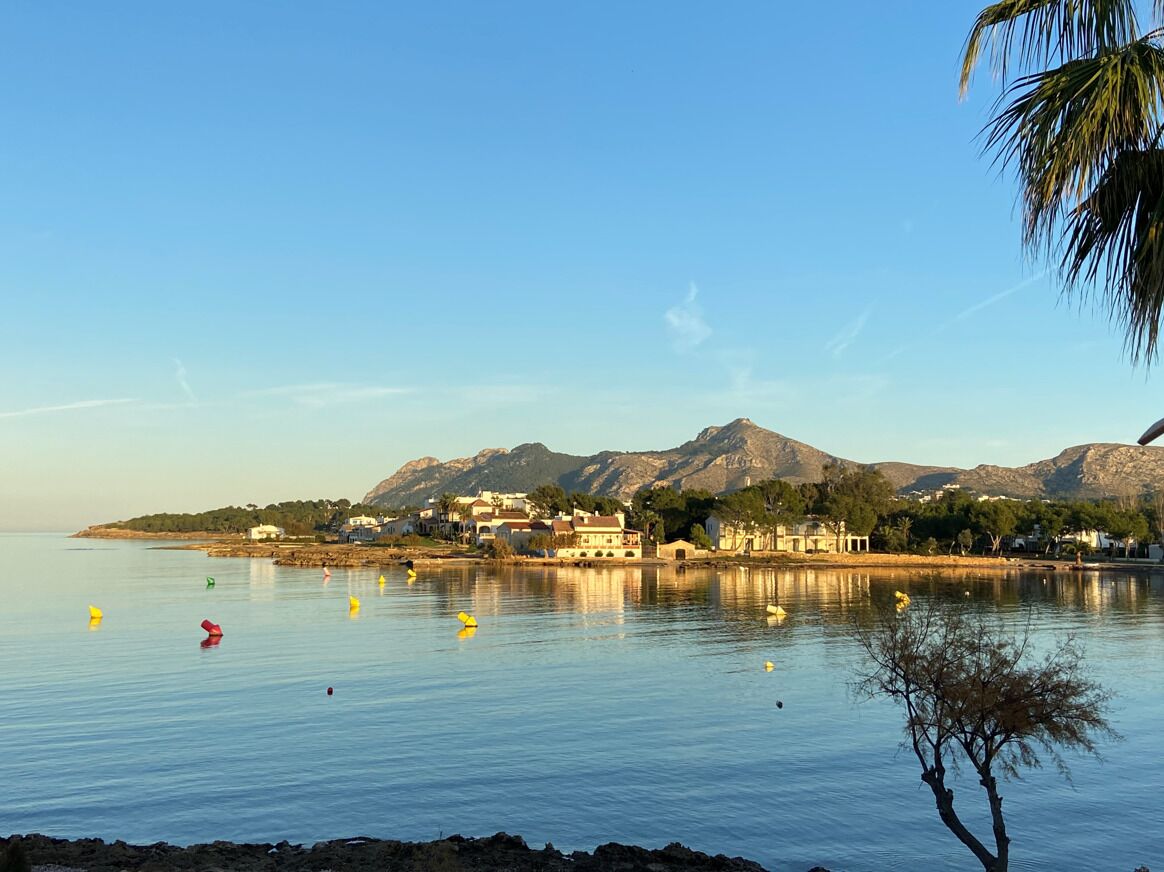 A calm lake with boats, a tree, and buildings in the background.