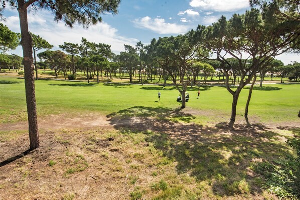 A golf course with trees and a clear sky.