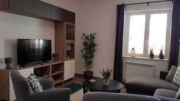 TV connectée, cheminée, lecteur de DVD