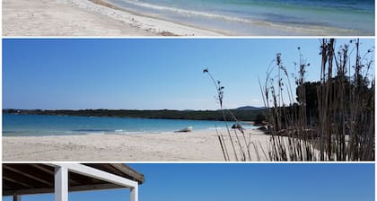 Luxe vakantiewoning nabij Olbia met privé zwembad dichtbij stranden, gratis wifi