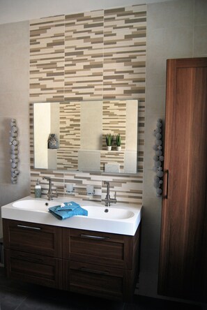 Shower, hair dryer, bidet, towels