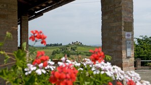 Viñedo con una estructura de piedra al frente, una colina distante con edificios y un cielo despejado.