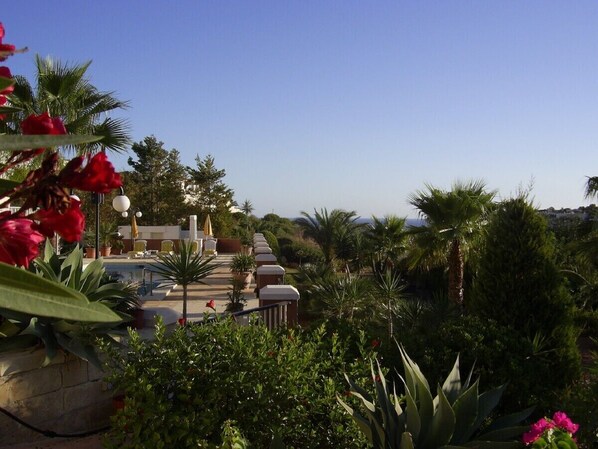A landscaped garden with palm trees, a pool, and a pathway leading to a building.