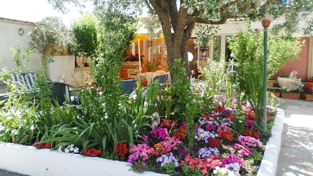 A garden with a variety of flowers and a tree. - Cleopatra: holiday home with terrace, Sorrento and Amalfi coast (Massa Lubrense)