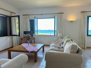 TV, fireplace, DVD player, ping pong