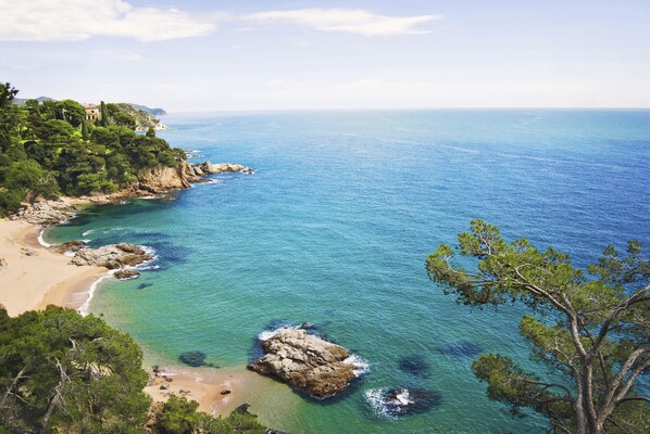 ビーチの近く、サンラウンジャー、ビーチタオル