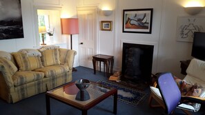 Télévision, cheminée, livres, chaîne hi-fi