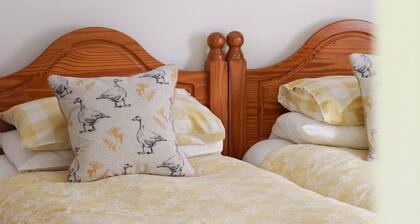 Charming Bungalow with countryside views, close to the South West Coast Path.