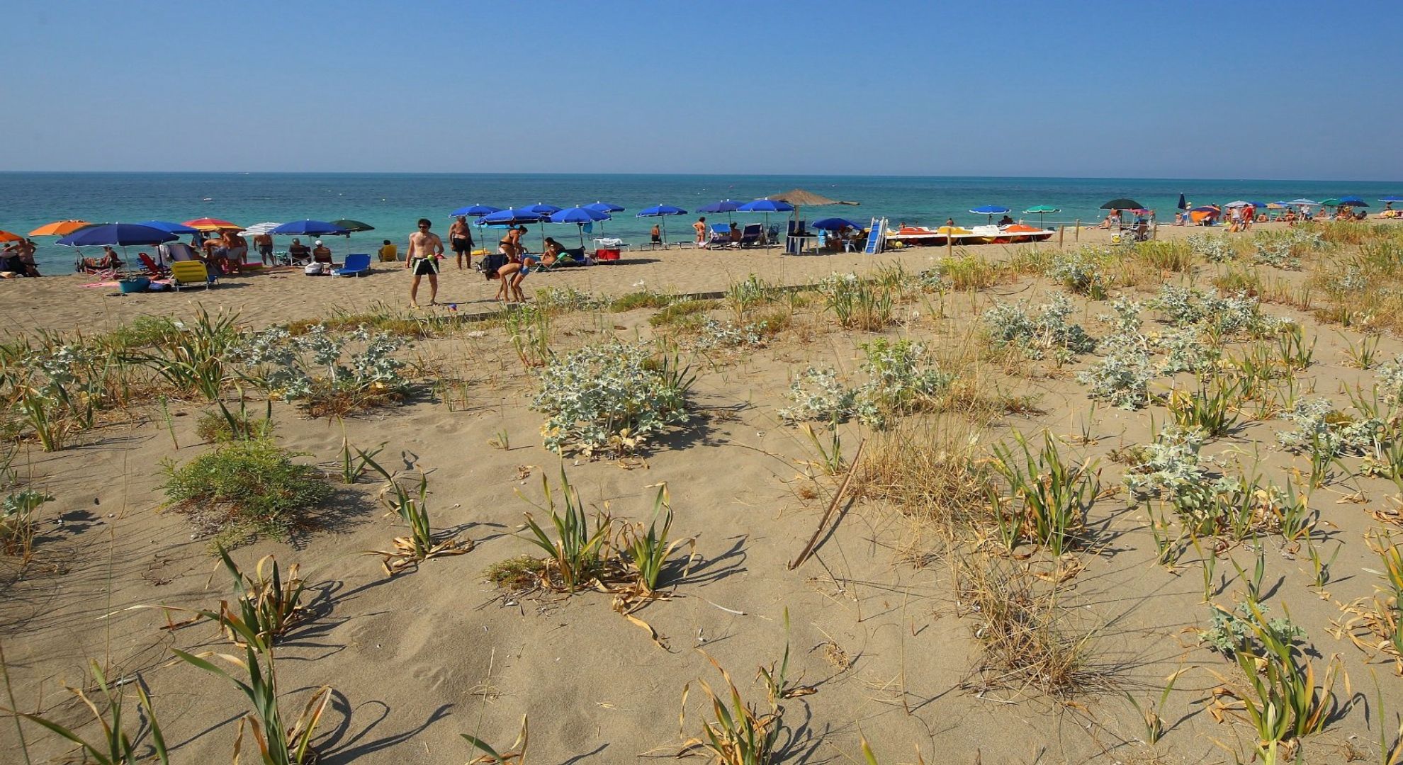 Une plage avec des parasols et des gens.