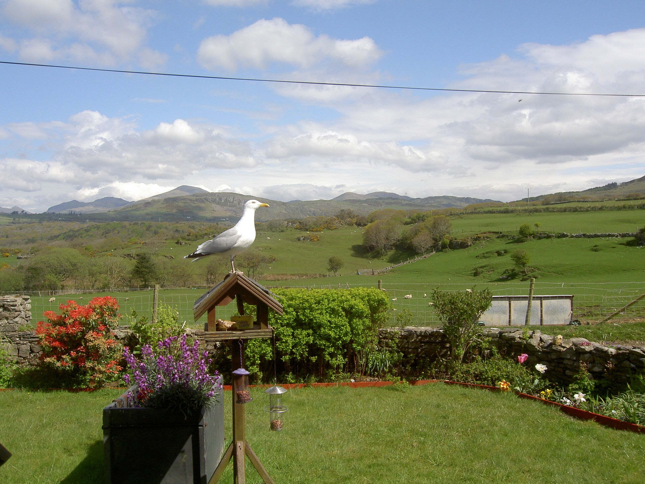 Self catering holiday caravan accommodation on FARM near Black Rock Sands