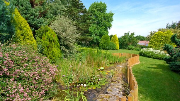 A garden with a variety of plants, a wooden fence, and a pond with lily pads. - Manor house set in five acres of gardens with private golf course, near Ludlow. (Ludlow)