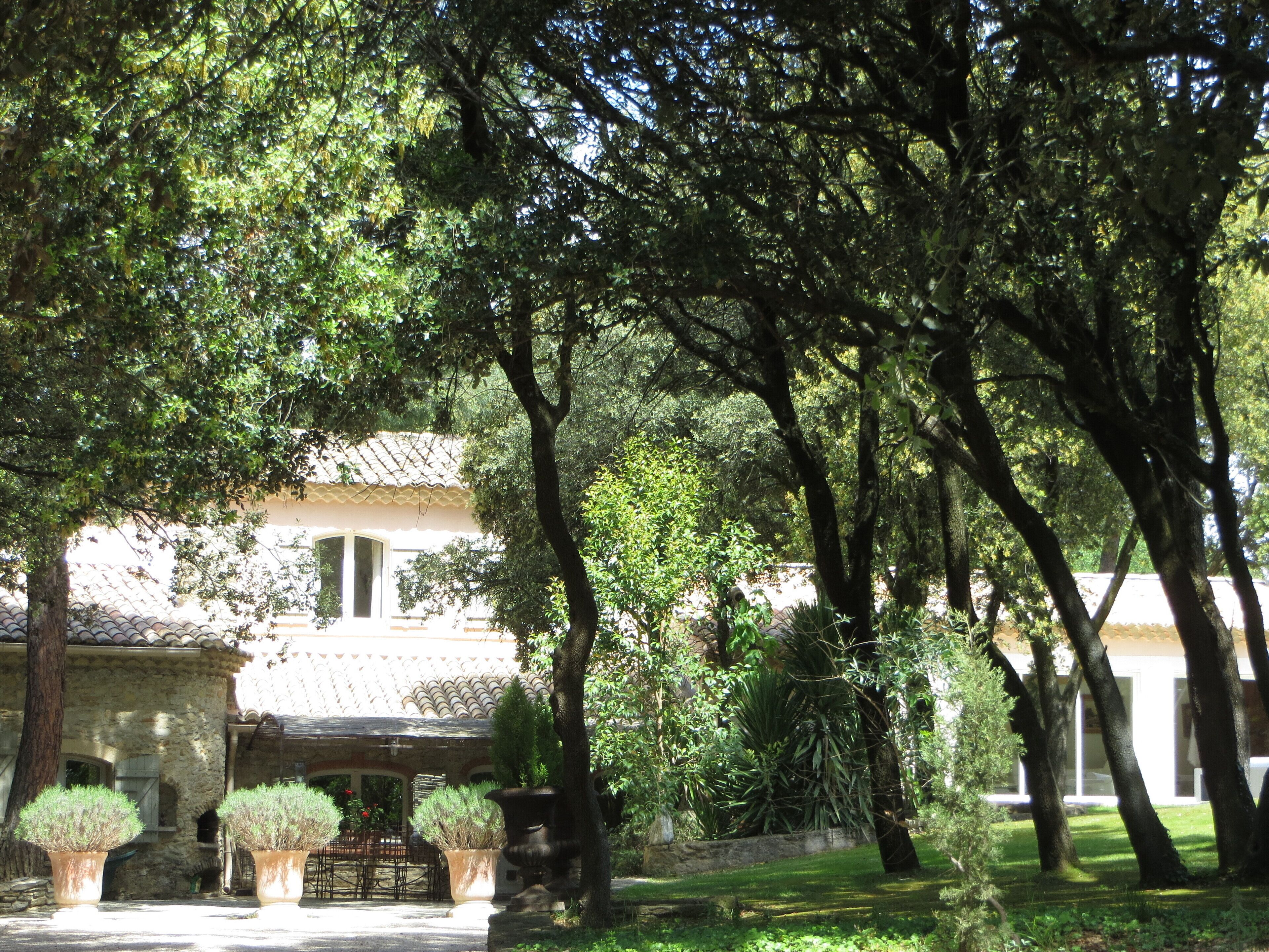 A courtyard with a stone building, potted plants, and trees.
