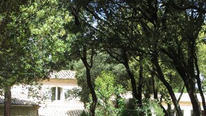 A courtyard with a stone building, potted plants, and trees.