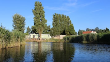 Esterni