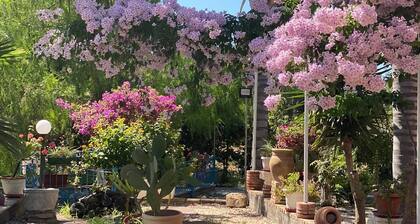 Villa in a quiet area, overlooking the garden and Mount Etna. Near Taormina.