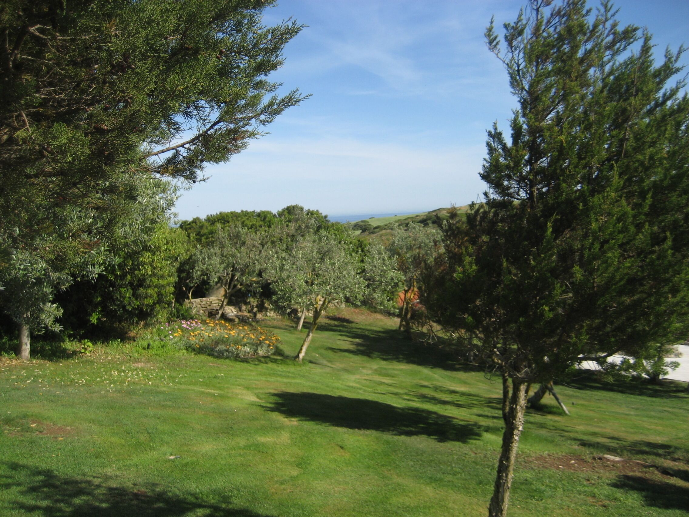 A grassy area with trees and a stone wall.