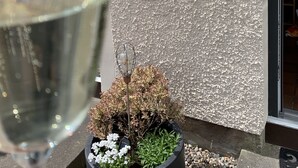Una copa de vino blanco al frente, una planta en maceta con flores blancas y follaje verde, y un letrero que dice "BRAID COTTAGE" en una pared con textura.