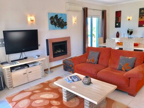 Télévision, cheminée, lecteur de DVD, livres