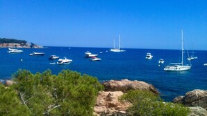 A coastal view with boats on the water, rocky terrain, and greenery in the foreground. - Sun, Sea & Culture. Luxury Villa & Pool. Breathtaking Views to Sea. Inc WiFi (Santa Cristina d'Aro)