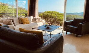 Smart TV, fireplace, DVD player, books