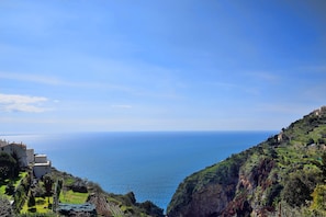A coastal landscape with terraced vineyards, a clear blue sky, and a view of the sea. - B&B NARCISO with private parking (Conca dei Marini, Campania)