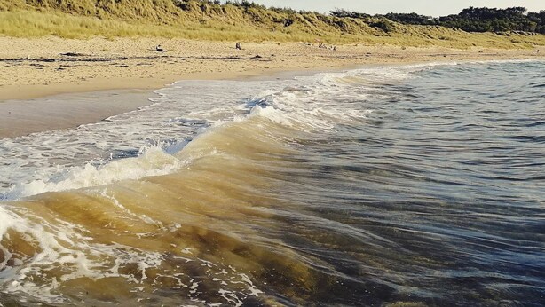 Una playa con olas, una orilla arenosa y dunas al fondo.