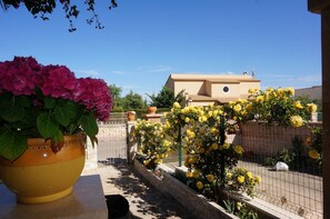 Property grounds - House Suit in Porto Colom with pool, AC and Wifi (PORTO COLOM)