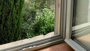 A window with a view of a tall evergreen tree and dense foliage. - Renovated stone house with swimming pool - 150 m from the medieval castle of Larressingle (Larressingle)