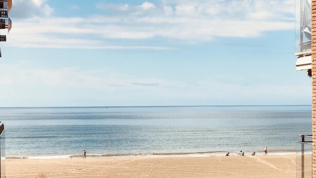 Une vue sur la plage, avec un ciel dégagé, une plage de sable et une végétation clairsemée.