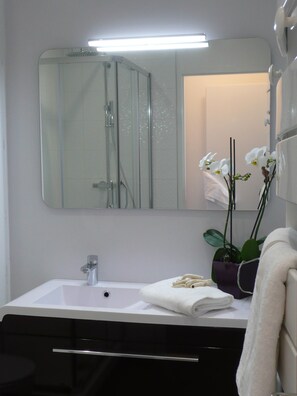 Douche, séchoir à cheveux, savon, papier de toilette