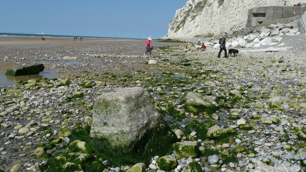 Une plage rocheuse où l’on voit des gens se promener, avec une falaise en arrière-plan.