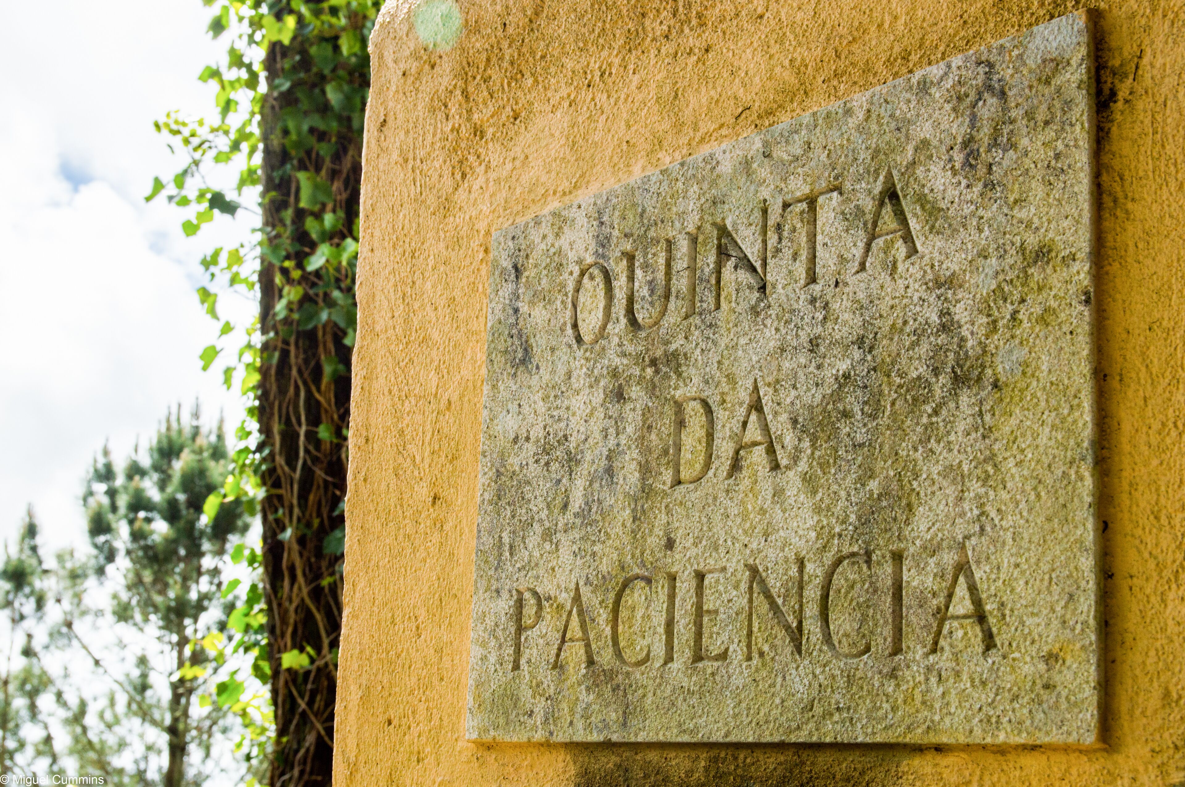 A beautiful luxury property 'Quinta da Paciencia'