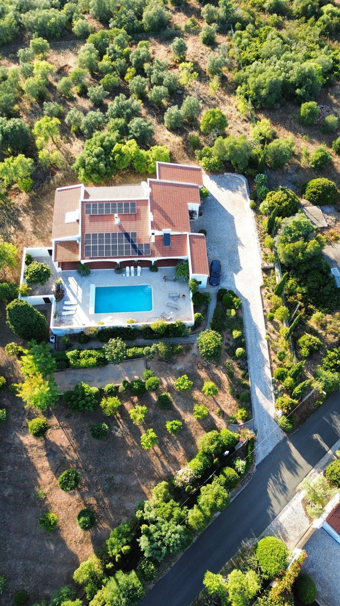Vista aérea de una casa moderna con piscina, rodeada de follaje denso y un camino de entrada pavimentado.