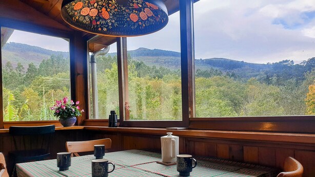 Un coin repas avec une nappe à carreaux, des chaises en bois, une table sur laquelle se trouvent deux tasses, un pichet et une plante en pot.
