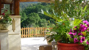 Un espace extérieur abrité, aménagé avec une table et des chaises en bois, et entouré de plantes et de fleurs en pot.