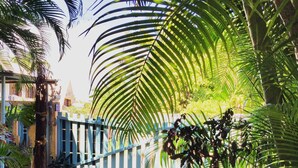 A tropical garden with palm trees, a wooden deck, and a blue fence. - Hotel les Bougainvilliers (Saint-Paul)