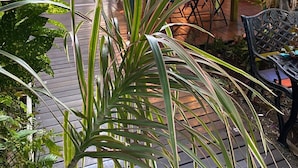 An outdoor seating area with a rustic wooden structure, surrounded by lush greenery and potted plants. - Hotel les Bougainvilliers (Saint-Paul)